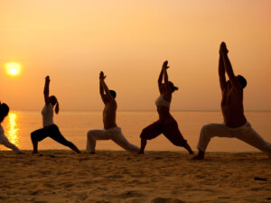 Holistic yoga, Yoga certification, Holistic Yoga Teacher Certificate