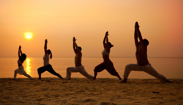 Holistic yoga, Yoga certification, Holistic Yoga Teacher Certificate